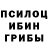 Псилоцибиновые грибы ЛСД Anatolij Togochinski
