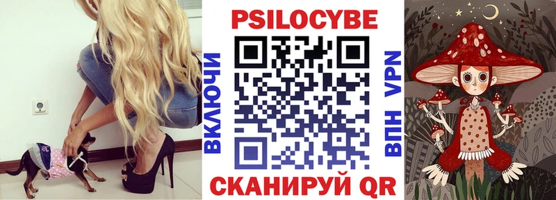дарнет шоп  площадка состав  ссылка на мегу ссылки  Галлюциногенные грибы GOLDEN TEACHER  Камызяк 